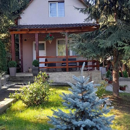 Andilak Vendeghaz Villa Sintimbru-Bai Exterior photo