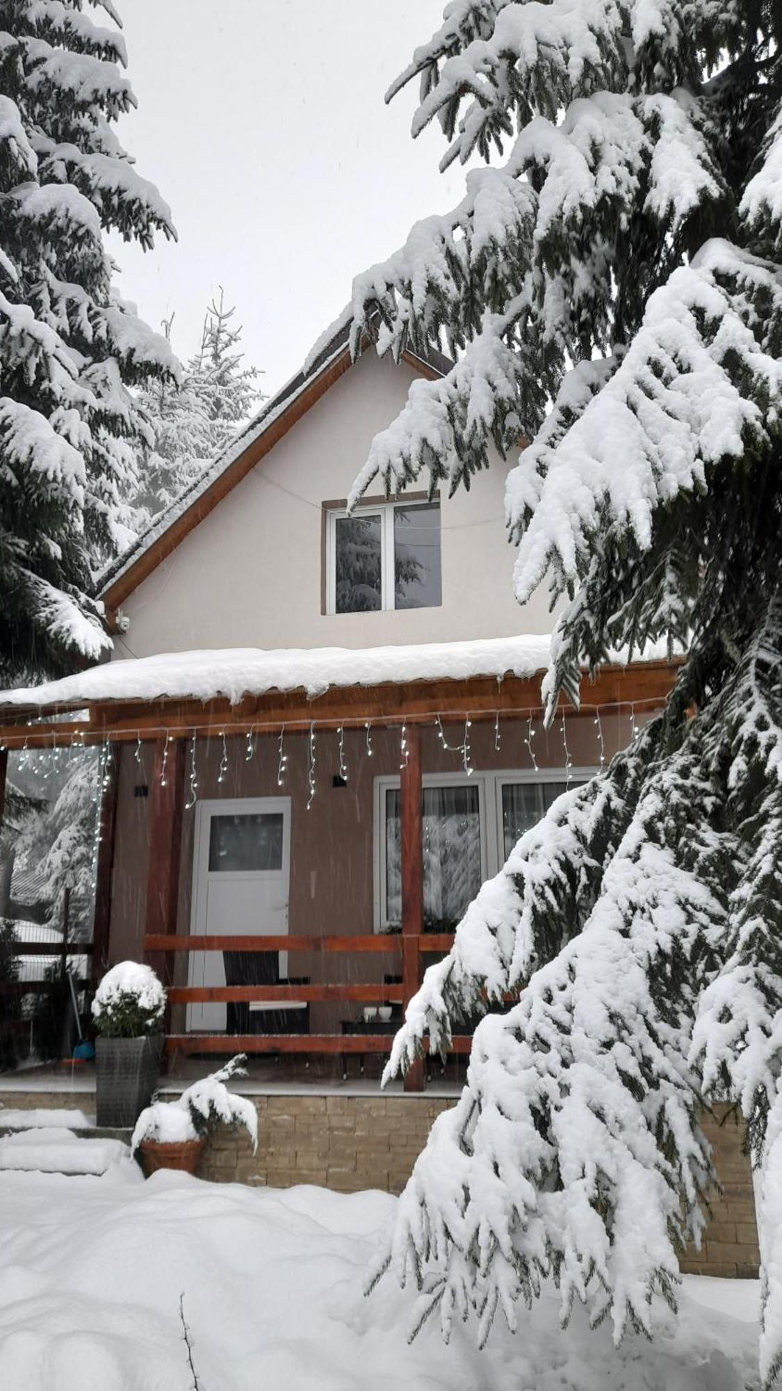 Andilak Vendeghaz Villa Sintimbru-Bai Exterior photo